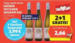 Hofer Grüner Veltliner Wagram DAC Angebot