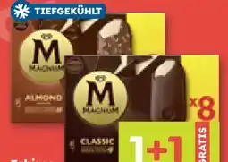 ADEG Eskimo Magnum Classic Angebot