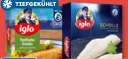 ADEG Iglo Scholle Angebot