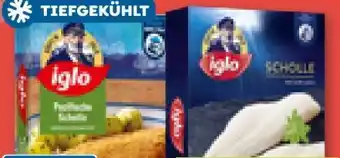 ADEG Iglo Scholle Angebot