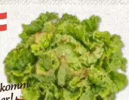 ADEG Da komm' ich her Grazer Krauthäuptelsalat Angebot