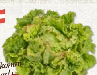 ADEG Da komm' ich her Grazer Krauthäuptelsalat Angebot