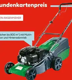 Hellweg Wingart Benzin-Rasenmäher 42 SP-A Angebot
