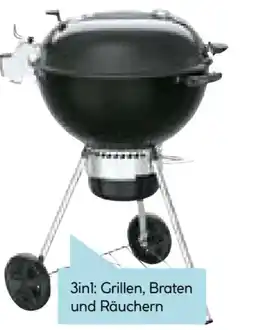 Hellweg Weber Kugelgrill Master-Touch GBS Premium E-5770 Angebot