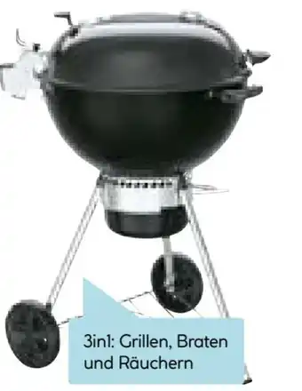 Hellweg Weber Kugelgrill Master-Touch GBS Premium E-5770 Angebot