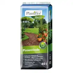 Hellweg Plantiflor Pinienrinde Angebot