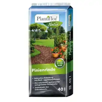 Hellweg Plantiflor Pinienrinde Angebot