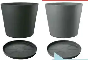 Hellweg Deroma Pflanztopf Origin Angebot