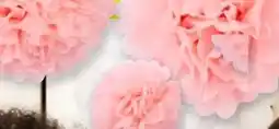 TEDi Pompoms Angebot