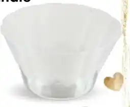TEDi Mehrweg-Schale Angebot
