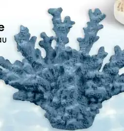 TEDi Deko-Koralle Angebot