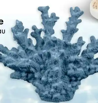 TEDi Deko-Koralle Angebot