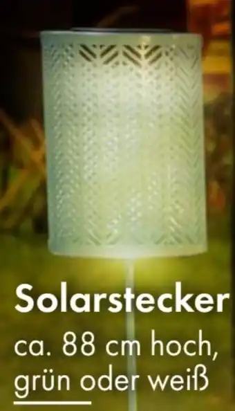 TEDi Solarstecker Angebot