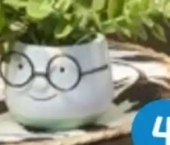 TEDi Kunstblume im Topf Angebot