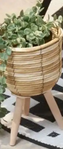 TEDi Blumentopf Angebot