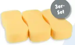 TEDi Autoschwamm Angebot