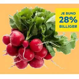 T&G Radieschen T&G Angebot