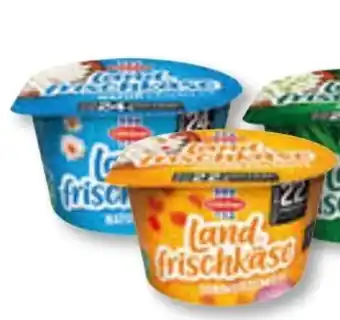 Unimarkt Schärdinger Landfrischkäse Angebot