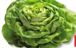 Unimarkt Häuptelsalat Angebot