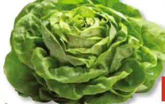 Unimarkt Häuptelsalat Angebot