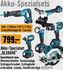 Hornbach Akku-Spezialset „DLX6046 Angebot