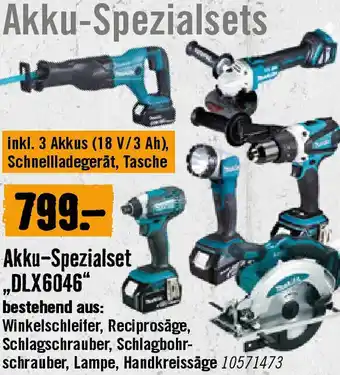 Hornbach Akku-Spezialset „DLX6046 Angebot