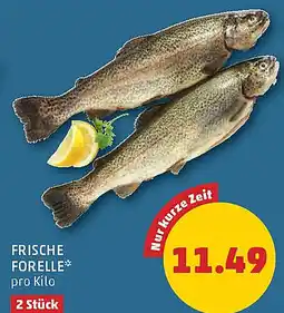 PENNY Frische forelle Angebot
