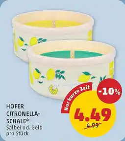 PENNY Hofer citronella- schale Angebot