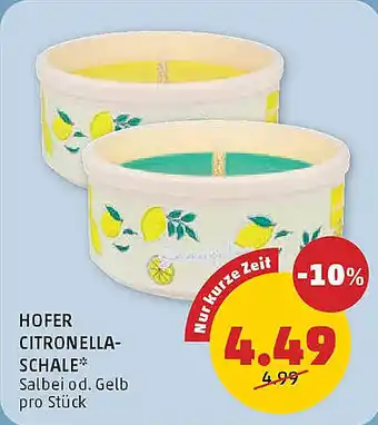 PENNY Hofer citronella- schale Angebot