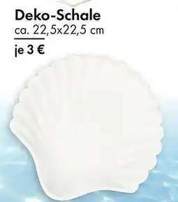 TEDi Deko-Schale Angebot