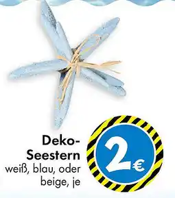 TEDi Deko- Seestern Angebot