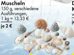 TEDi Muscheln Angebot