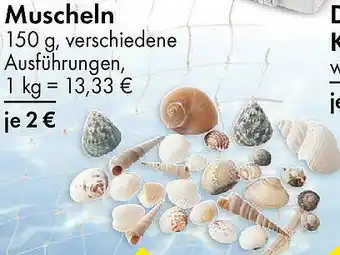 TEDi Muscheln Angebot