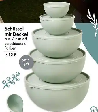 TEDi Schüssel mit Deckel Angebot