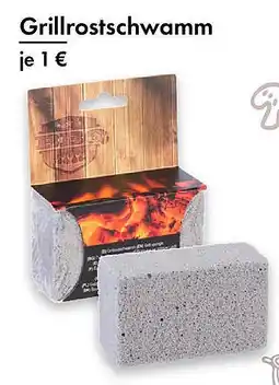 TEDi Grillrostschwamm Angebot