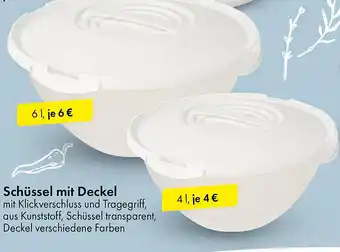 TEDi Schüssel mit Deckel Angebot
