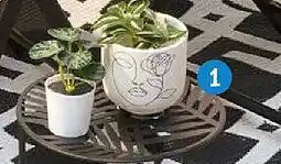 TEDi Blumentopf Angebot