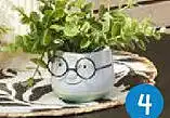 TEDi Kunstblume im Topf Angebot