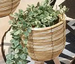 TEDi Blumentopf Angebot