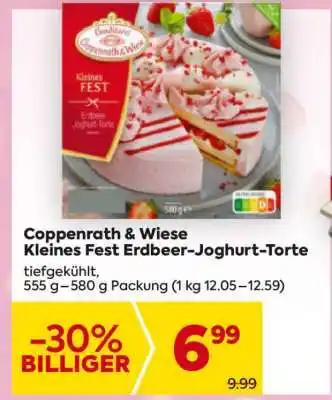 Billa Coppenrath & Wiese Kleines Fest Erdbeer-Joghurt-Torte Angebot