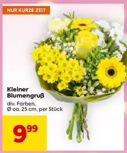 Billa Kleiner Blumengruß Angebot