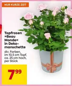 Billa Topfrosen Beau Monde in Dekomanschette Angebot