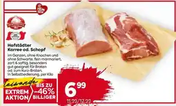 Billa Hofstädter Karree od. Schopf Angebot