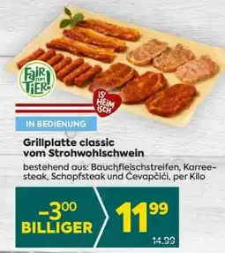 Billa Grillplatte classic vom Strohwohlschwein Angebot