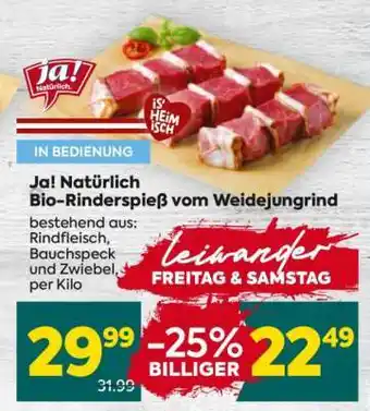Billa Ja! Natürlich Bio-Rinderspieß vom Weidejungrind Angebot
