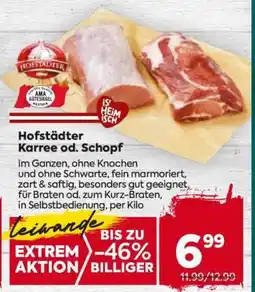 Billa Hofstädter Karree od. Schopf Angebot