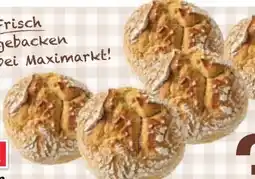 Maximarkt Schusterlaibchen Angebot
