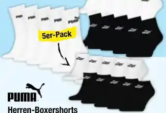 Maximarkt Puma Erwachsenen Quartersocken Angebot