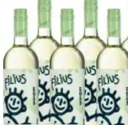 Maximarkt Weingut Hagn Grüner Veltliner Filius Angebot