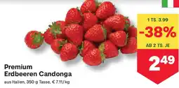 MPreis Premium Erdbeeren Candonga Angebot